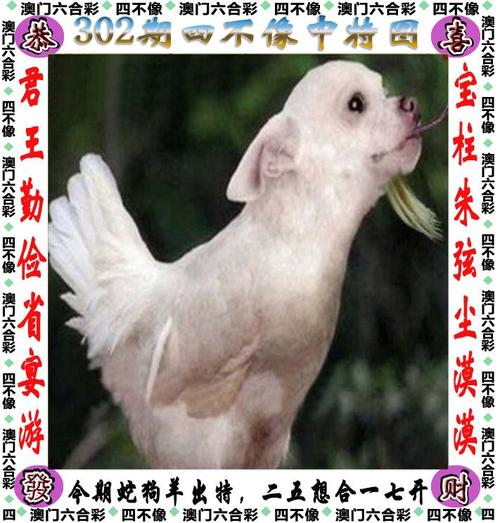 【四不像正版 正版四不像】着眼未来的变革,值得解释落实